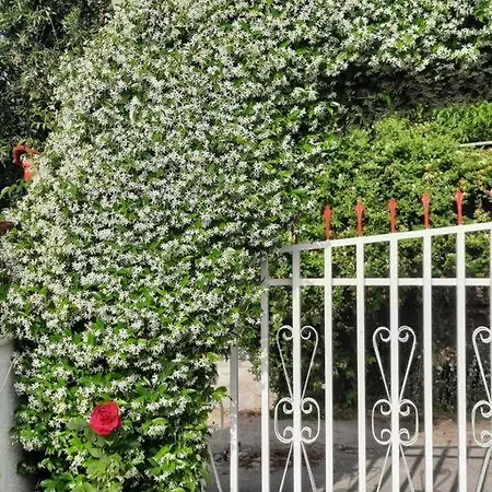 Casa Olena Néa Potídea