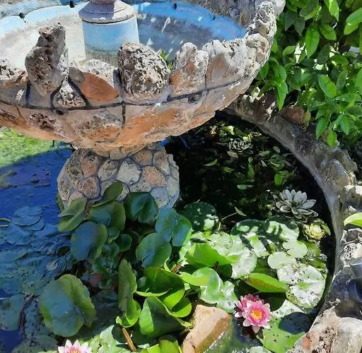 Casa Olena *