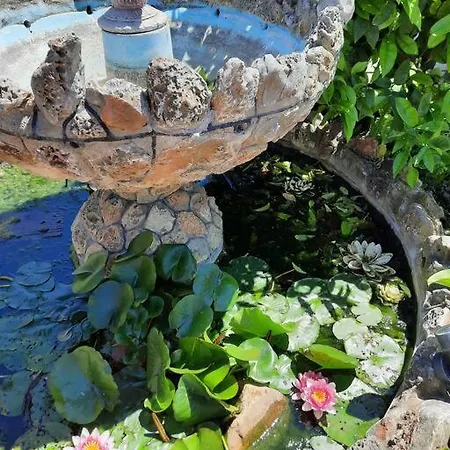 Casa Olena *