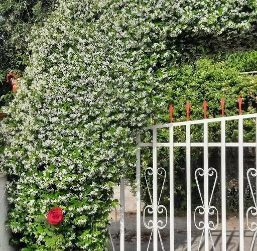 Casa Olena Νέα Ποτίδαια